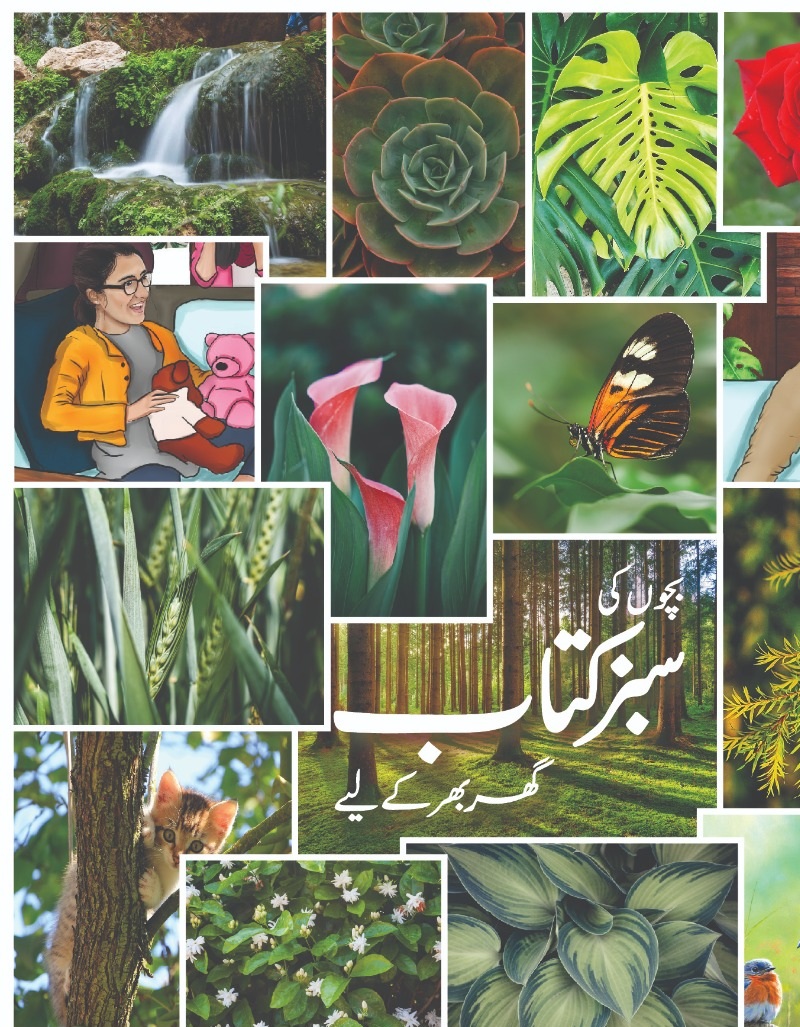 Green Book - For The Whole Family